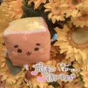 ヒメ日記 2026/09/16 09:46 投稿 ちあき 西川口おかあさん