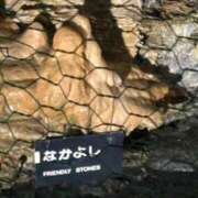 ヒメ日記 2026/10/01 13:43 投稿 あずき シェリーエンジェル