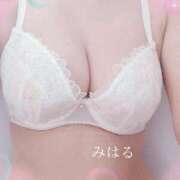 ヒメ日記 2026/10/02 12:33 投稿 みはる 熟女総本店 日本橋ミナミエリア店