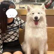 ヒメ日記 2026/10/04 07:43 投稿 マイ 川崎美女革命