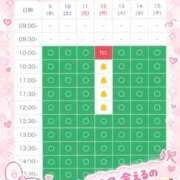 ヒメ日記 2026/10/09 10:06 投稿 りり 丸妻 横浜本店
