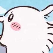 ヒメ日記 2026/09/15 11:14 投稿 花房しんじゅ（美巨乳・癒し系） SOAPLAND ZERO BUNNY ℃UTE