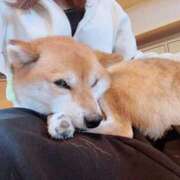 ヒメ日記 2026/09/21 08:46 投稿 りん 丸妻 新横浜店