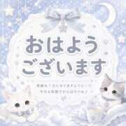 ヒメ日記 2026/09/19 08:44 投稿 海月萌奈（巨乳・エロ尻） SOAPLAND ZERO BUNNY ℃UTE