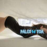 ヒメ日記 2026/09/10 00:21 投稿 トア PALCO