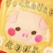 ヒメ日記 2026/09/15 12:44 投稿 なの 千葉柏ちゃんこ