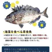ヒメ日記 2026/10/16 09:01 投稿 なの 千葉柏ちゃんこ