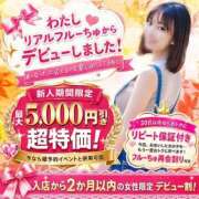 ヒメ日記 2026/09/07 17:08 投稿 きなこ わちゃわちゃ密着リアルフルーちゅ西船橋