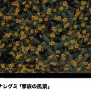ヒメ日記 2026/09/16 16:00 投稿 石上あやこ 彩タマンサ（埼玉ハレ系）