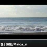 ヒメ日記 2026/09/29 16:00 投稿 石上あやこ 彩タマンサ（埼玉ハレ系）