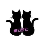 ヒメ日記 2026/09/09 14:45 投稿 林 杏 こあくまな熟女たち 京都店(KOAKUMAグループ)