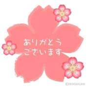 ヒメ日記 2026/10/11 00:43 投稿 如月　さやか 五十路セレブ