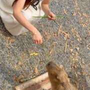 ヒメ日記 2026/10/05 07:42 投稿 白石りの グランドスウィート