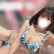 ヒメ日記 2026/09/21 14:13 投稿 うさぎ ジャパンクラブ富士