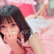 ヒメ日記 2026/09/21 18:22 投稿 うさぎ ジャパンクラブ富士