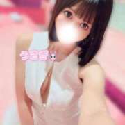 ヒメ日記 2026/09/23 11:32 投稿 うさぎ ジャパンクラブ富士