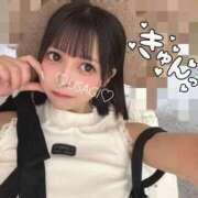ヒメ日記 2026/09/27 12:22 投稿 うさぎ ジャパンクラブ富士