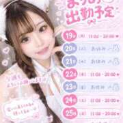 ヒメ日記 2026/10/19 10:44 投稿 ベイビーエロまりあ にゃんだ☆full☆MIX（にゃんだふるみっくす）