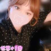 ヒメ日記 2026/09/11 16:52 投稿 えあり モアグループ宇都宮人妻花壇