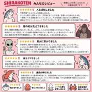 ヒメ日記 2026/10/14 20:36 投稿 しらこ ハピネス東京 吉原店