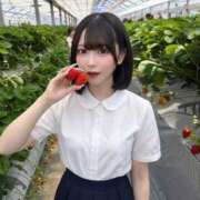ヒメ日記 2026/09/04 07:18 投稿 るちあ【元アイドルと…】 STELLA TOKYO－ステラトウキョウ－