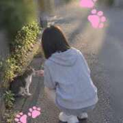 ヒメ日記 2026/10/18 09:59 投稿 加古 みのり 30代40代50代と遊ぶなら博多人妻専科24時
