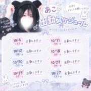 ヒメ日記 2026/10/02 21:45 投稿 あこ 素人系イメージSOAP 彼女感 宇都宮本館