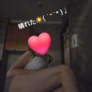 ヒメ日記 2026/09/24 11:59 投稿 かおり ゴールドクイーン