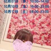 ヒメ日記 2026/10/06 12:01 投稿 新人さくら 人妻日記2nd