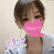 ノア 構って... 姫路ラビット