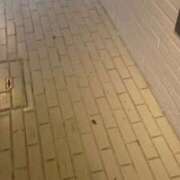 ヒメ日記 2026/10/03 13:59 投稿 ニューマン 西川口デッドボール
