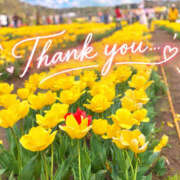 ヒメ日記 2026/09/14 15:05 投稿 れんか 栃木宇都宮ちゃんこ