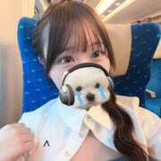 ヒメ日記 2026/10/07 11:31 投稿 える【癒し系M美女】 STELLA TOKYO－ステラトウキョウ－