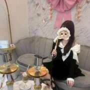 ヒメ日記 2026/10/20 12:33 投稿 える【癒し系M美女】 STELLA TOKYO－ステラトウキョウ－