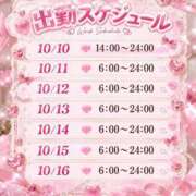 ヒメ日記 2026/10/10 12:04 投稿 青島　えりか OLセレクション宇都宮店