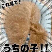 ヒメ日記 2026/09/12 13:10 投稿 いずみ☆小動物系美女 ぽちゃぶらんか甲府店(カサブランカグループ)