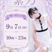 ヒメ日記 2026/09/07 00:12 投稿 紫乃 the SPA KADOEBI