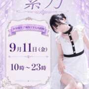 ヒメ日記 2026/09/11 00:12 投稿 紫乃 the SPA KADOEBI