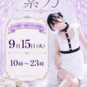 ヒメ日記 2026/09/15 08:52 投稿 紫乃 the SPA KADOEBI
