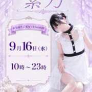 ヒメ日記 2026/09/16 00:02 投稿 紫乃 the SPA KADOEBI