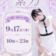 ヒメ日記 2026/09/17 00:02 投稿 紫乃 the SPA KADOEBI