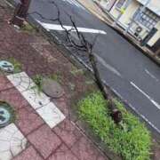 ヒメ日記 2026/09/28 16:53 投稿 海尻せと THE痴漢電車.com