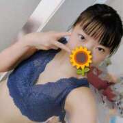 ヒメ日記 2026/09/15 05:28 投稿 ひまわり 人妻倶楽部 内緒の関係 川越店