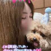ヒメ日記 2026/09/11 05:12 投稿 むぎ One More奥様　横浜関内店