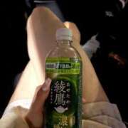 ヒメ日記 2026/09/05 04:23 投稿 りお【見惚れる美貌】 STELLA TOKYO－ステラトウキョウ－