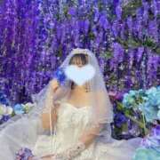 ヒメ日記 2026/09/11 12:49 投稿 ほたる Excellent Royal
