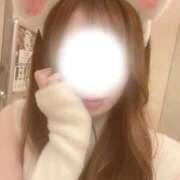 ヒメ日記 2026/09/21 12:20 投稿 天内あおは MIRAI TOKYO 六本木店
