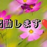 ヒメ日記 2026/09/16 12:18 投稿 ゆきの 静岡駅前ちゃんこ