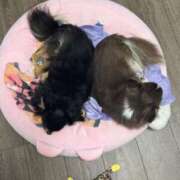ヒメ日記 2026/10/06 09:15 投稿 すい Gossip girl小岩店