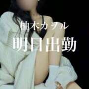 柚木カヲル☆SSR級推しフラグ 🩵明日出勤🩵 ジャックと豆の木
